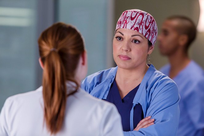 Grey's Anatomy - Die jungen Ärzte - Durch den Schmerz hindurch - Filmfotos - Sara Ramirez