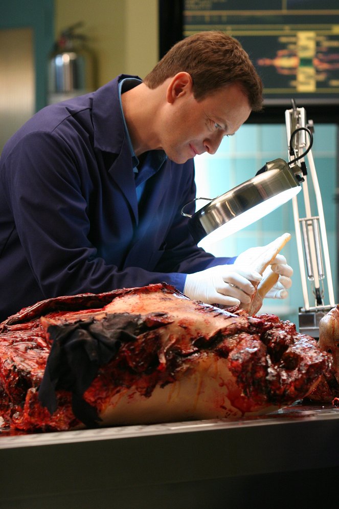 CSI: New York - Tod im Zoo - Filmfotos - Gary Sinise