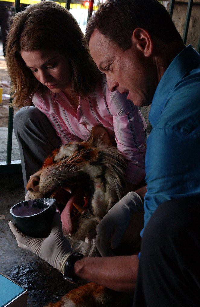 CSI: NY - Zoo York - Photos - Anna Belknap, Gary Sinise