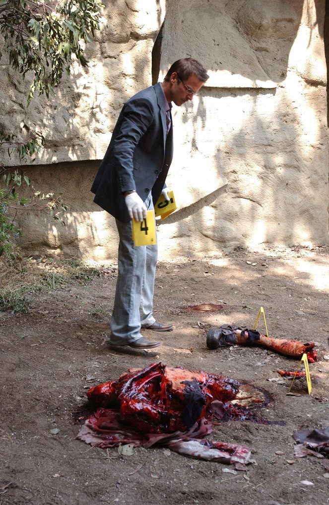 CSI: Kryminalne zagadki Nowego Jorku - Nowojorskie zoo - Z filmu - Carmine Giovinazzo