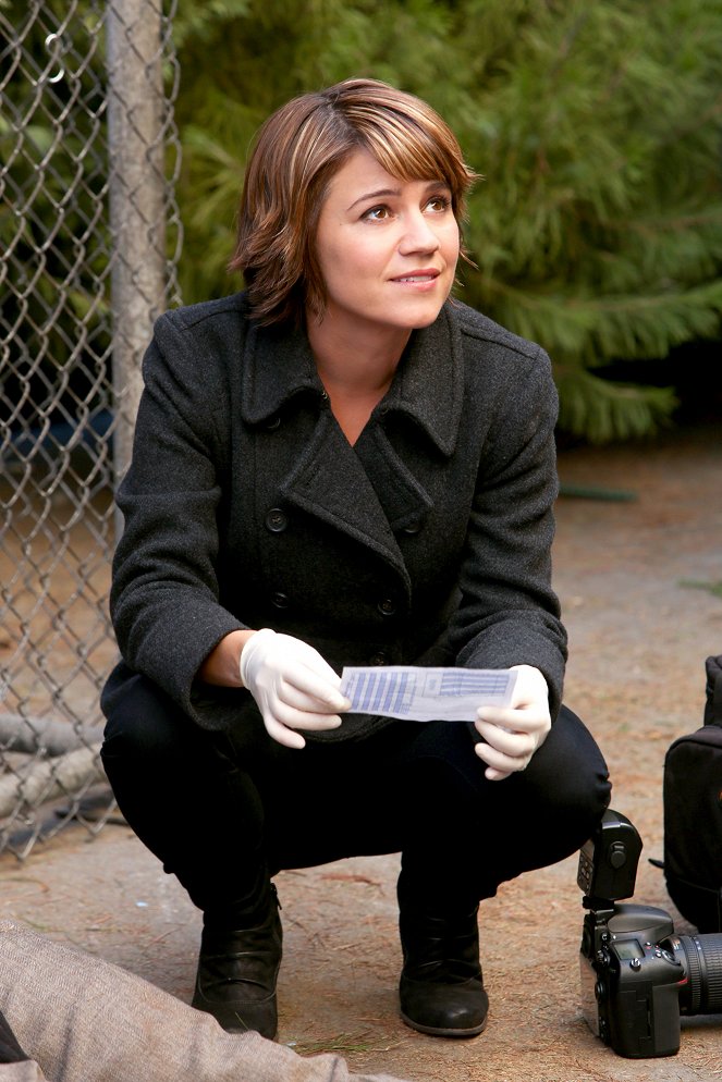 CSI: Kryminalne zagadki Nowego Jorku - Season 9 - Oryginał - Z filmu - Anna Belknap