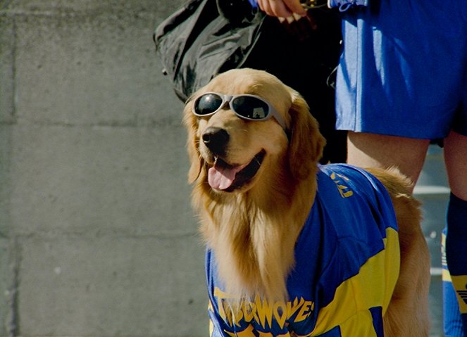 Suche - Suchergebnisse für "Air Bud: World Pup" - Filmfotos