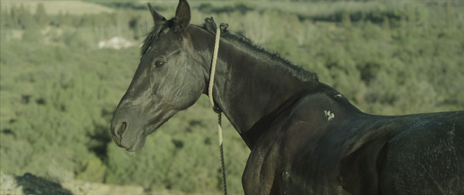Un caballo llamado Elefante - Kuvat elokuvasta