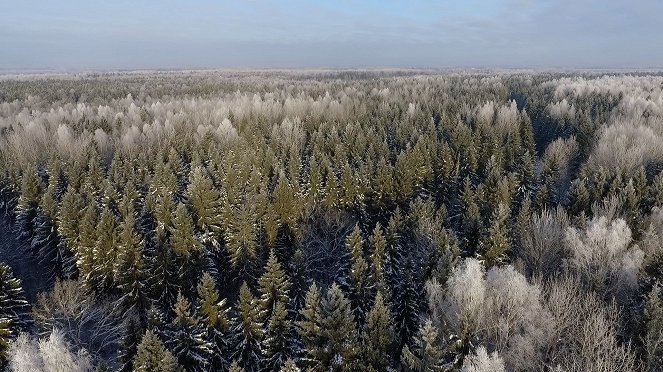 Na cestě - Na cestě po jihu Estonska - Van film