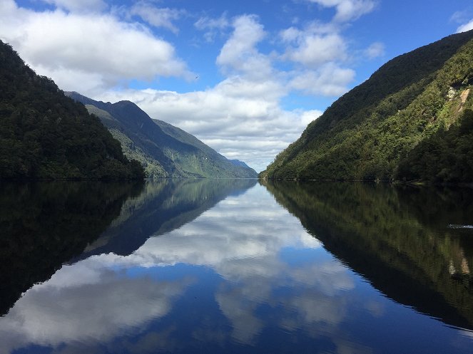Wild New Zealand: Lost Paradise - Van film