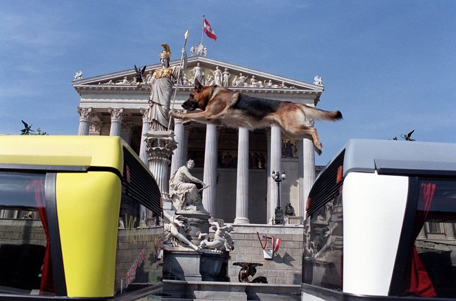 Poliisikoira Rex - Harhautus - Kuvat elokuvasta - Rhett Butler-koira