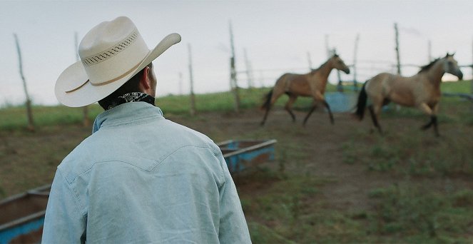 The Rider - Kuvat elokuvasta