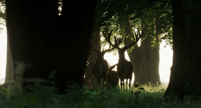 Auf der Jagd - Wem gehört die Natur? - De la película