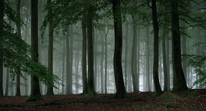 Auf der Jagd - Wem gehört die Natur? - Filmfotos