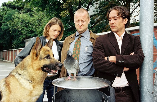 Rex felügyelő - A postagalamb - Filmfotók - Rhett Butler a kutya, Elke Winkens, Martin Weinek, Alexander Pschill