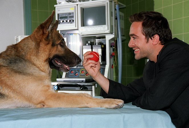 Rex felügyelő - Halálos vitamin - Filmfotók - Rhett Butler a kutya, Alexander Pschill