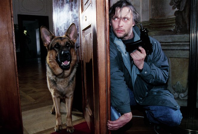 Rex, o cão polícia - Tanz auf dem Vulkan - Do filme - pes Reginald von Ravenhorst, Henryk Nolewajka