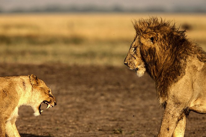 Maszájok és oroszlánok - Filmfotók