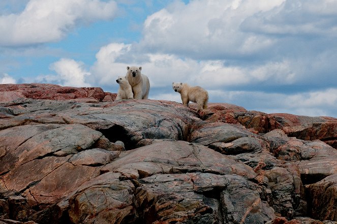 Land of the Ice Bears - Filmfotók