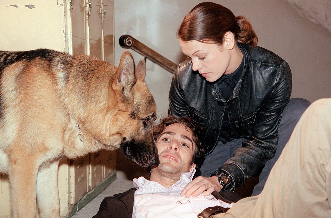 Rex felügyelő - Season 8 - Házinyúlra nem lövünk - Filmfotók - Rhett Butler a kutya, Alexander Pschill, Elke Winkens