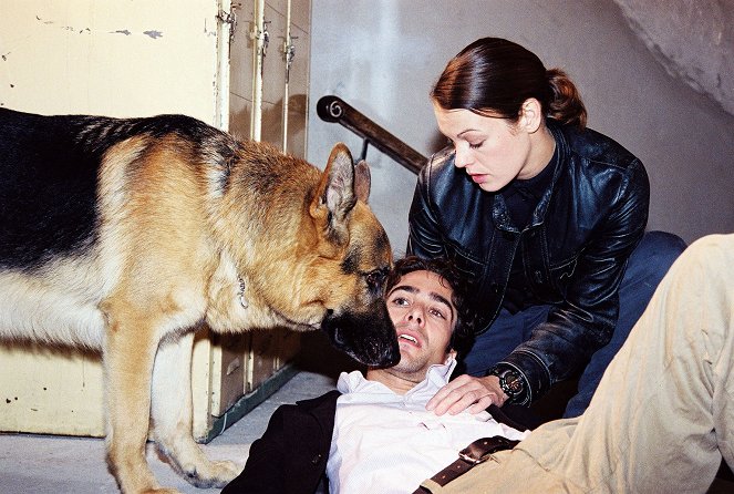 Rex felügyelő - Season 8 - Házinyúlra nem lövünk - Filmfotók - Rhett Butler a kutya, Alexander Pschill, Elke Winkens