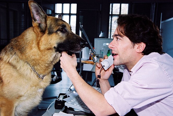Rex felügyelő - Négylábú tanú - Filmfotók - Rhett Butler a kutya, Alexander Pschill