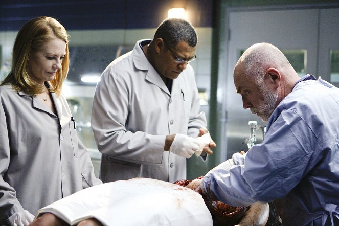CSI: Crime Scene Investigation - Season 9 - Deep Fried and Minty Fresh - Photos - Marg Helgenberger, Laurence Fishburne, Robert David Hall