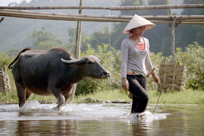 Neznámá Asie - Durch den Dschungel Vietnams - Z filmu