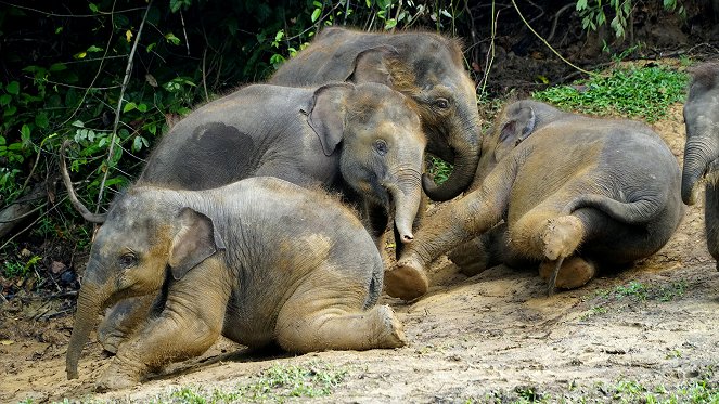 Geheimnisse Asiens - Die schönsten Nationalparks - Z filmu