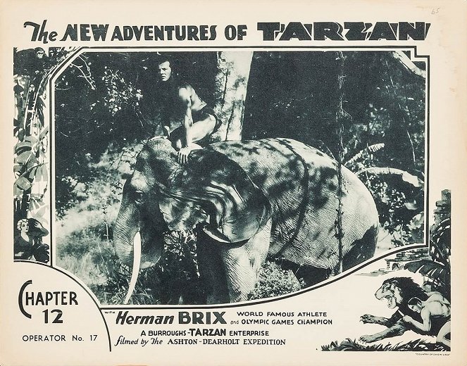 Las nuevas aventuras de Tarzán - Fotocromos