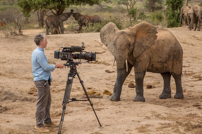 Gordon Buchanan: Elephant Family & Me - Photos - Gordon Buchanan