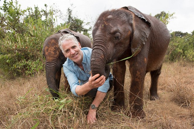 Gordon Buchanan: Elephant Family & Me - Werbefoto - Gordon Buchanan