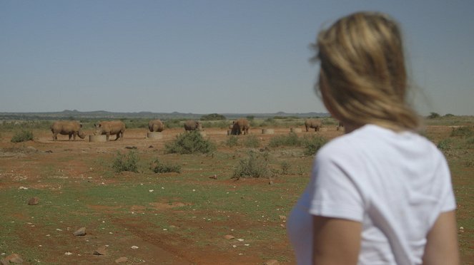 Safari turistika - zaplať a zastřel si - Z filmu