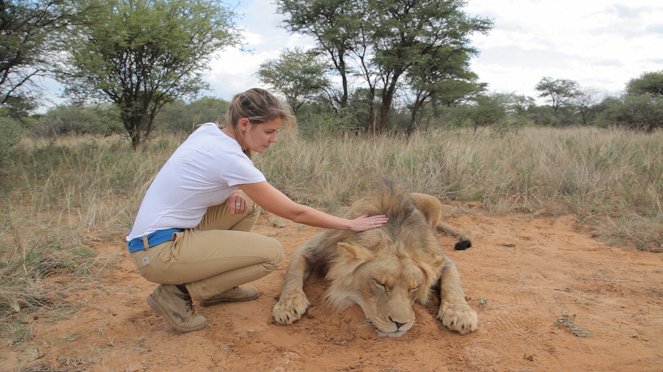 Safari Tourism: Paying to Kill - Photos