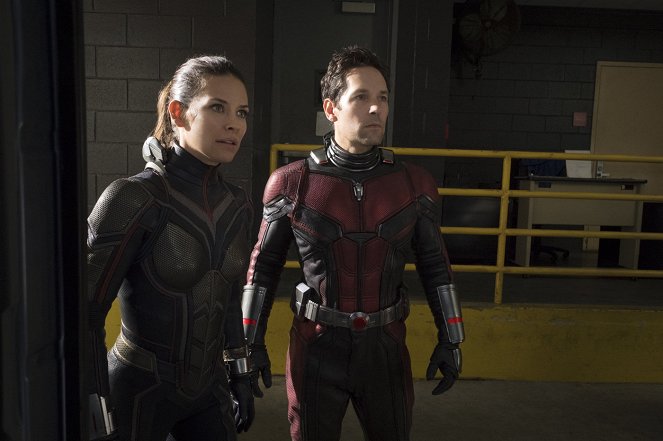 Ant-Man and the Wasp - Photos - Evangeline Lilly, Paul Rudd