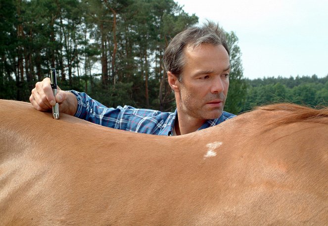 Die Pferdeinsel - Van film - Hannes Jaenicke