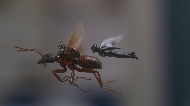 Ant-Man a Wasp - Z filmu