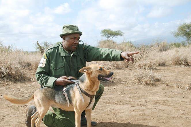 Mit Spürhunden gegen Wilderer - Photos