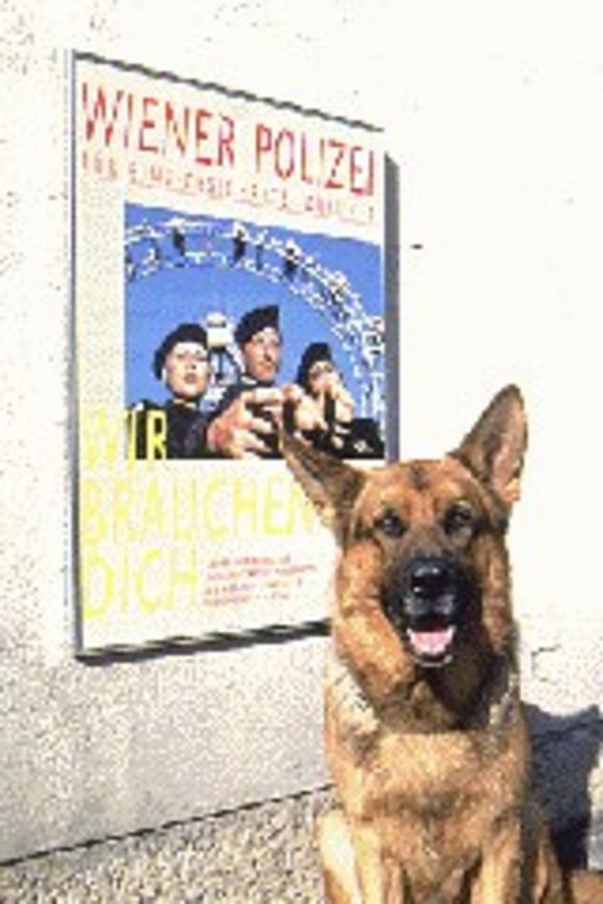 Rex, o cão polícia - Stumme Schreie - Do filme