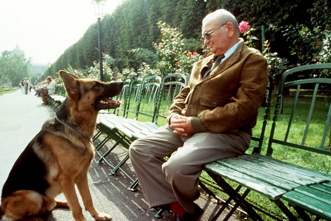 Rex felügyelő - Halálos csábítás - Filmfotók - Reginald von Ravenhorst a kutya, Fritz Muliar