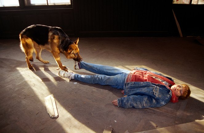Rex, o cão polícia - Tod eines Kindes - Do filme - pes Reginald von Ravenhorst
