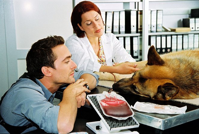 Rex, o cão polícia - Season 9 - Ein Toter und ein Baby - Do filme - Alexander Pschill, pes Rhett Butler