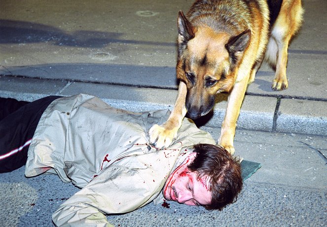 Poliisikoira Rex - Dopingia - Kuvat elokuvasta - Rhett Butler-koira