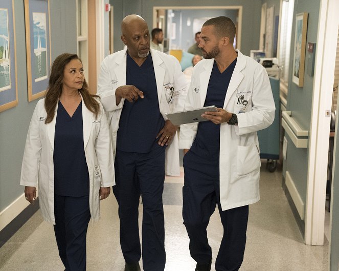 Grey's Anatomy - Caught Somewhere in Time - Photos - Chandra Wilson, James Pickens Jr., Jesse Williams