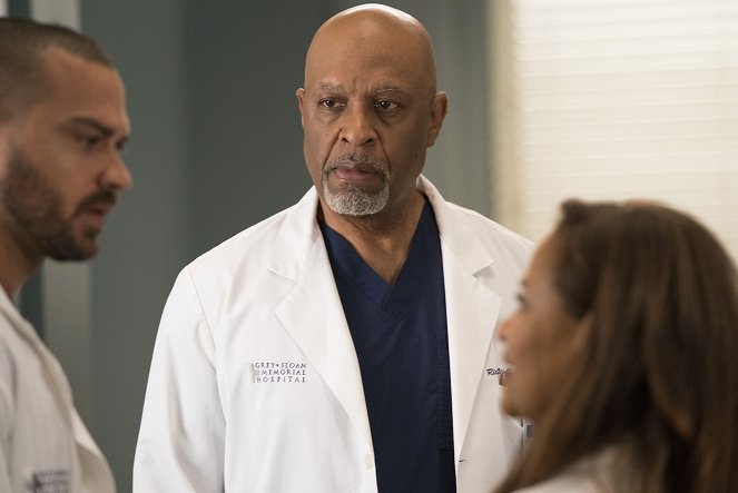 Grey's Anatomy - Caught Somewhere in Time - Photos - James Pickens Jr.