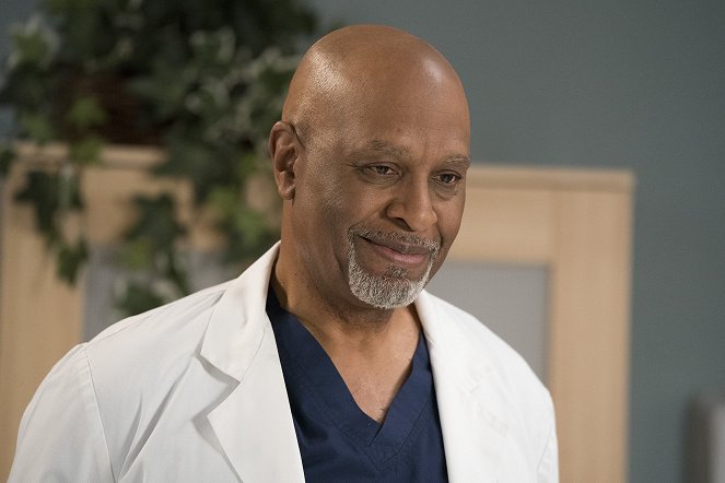 Grey's Anatomy - Caught Somewhere in Time - Photos - James Pickens Jr.