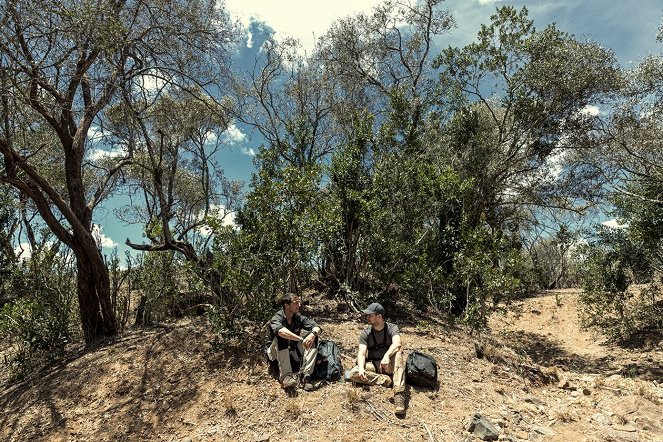Bear Grylls: Sztárok a vadonban - Filmfotók