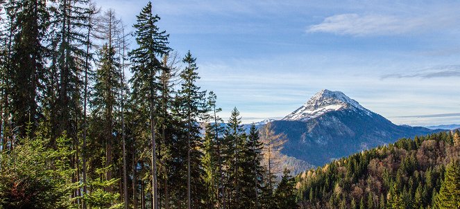 Universum: Ötscher - Im Reich des sanften Riesen - Do filme