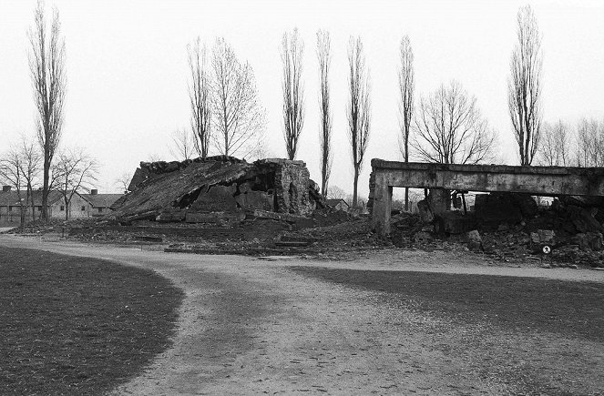 Sonderkommando Auschwitz-Birkenau - Filmfotos