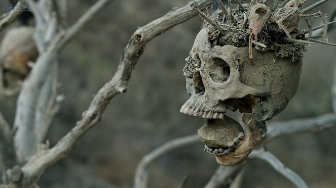 Bone Tomahawk - De la película