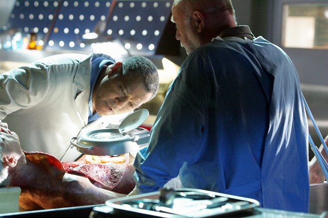 CSI: Crime Scene Investigation - Season 10 - Pueblo fantasma - De la película - Laurence Fishburne, Robert David Hall