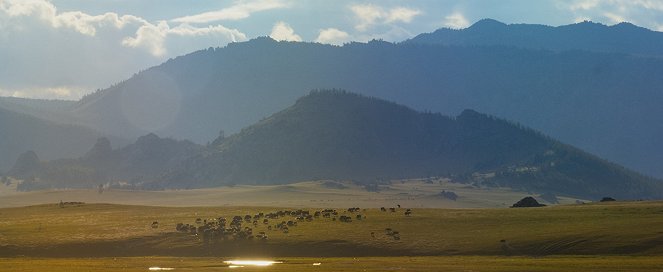 Chingisiin huuhduud - Z filmu