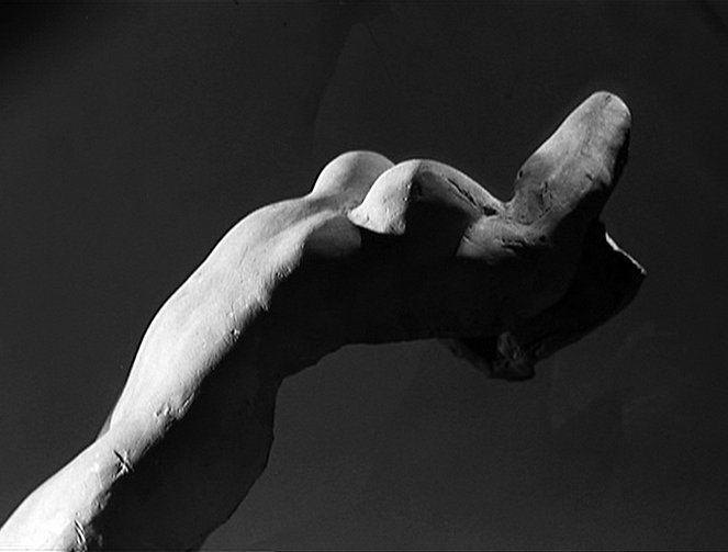 La Turbulence Rodin - Van film