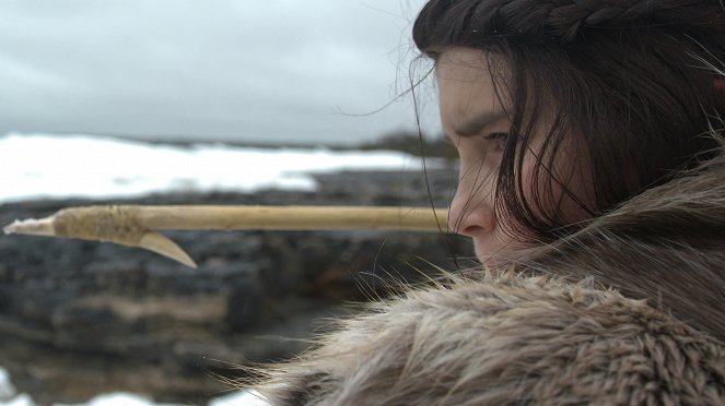 The Nature of Things: Ice Bridge - Film