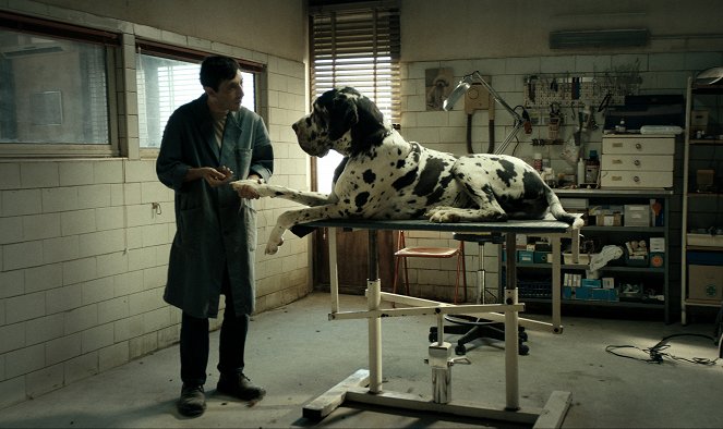 Dogman - De la película - Marcello Fonte